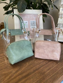 Clear Purse with Pouch/Strap